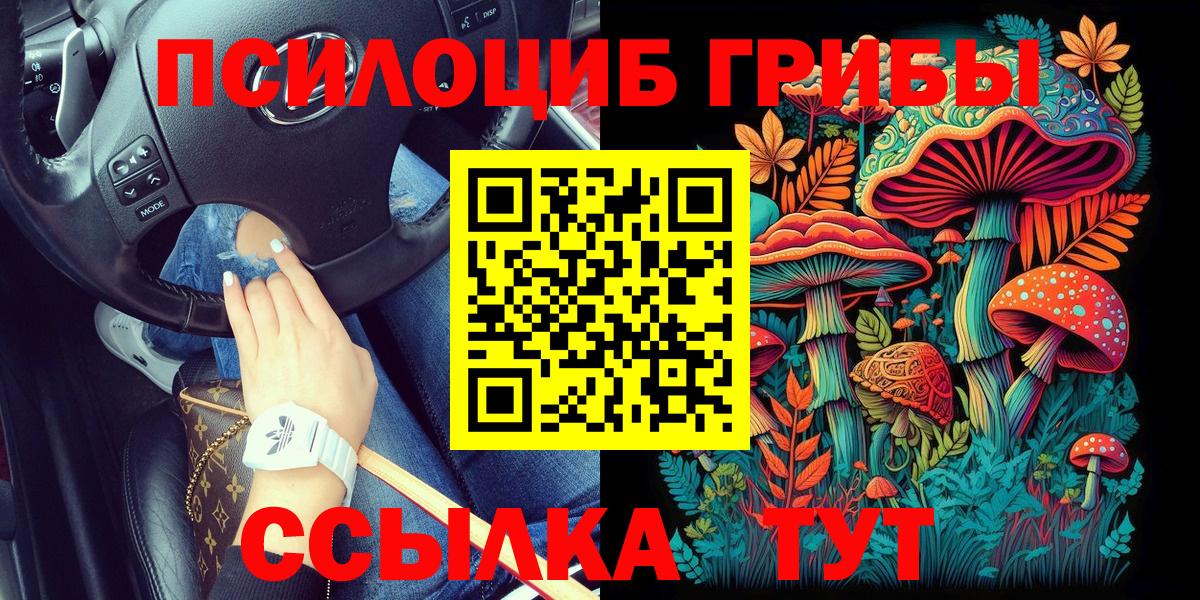 Псилоцибиновые грибы ЛСД Сатка